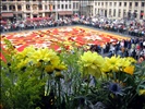 Floral carpet Brussels 2006